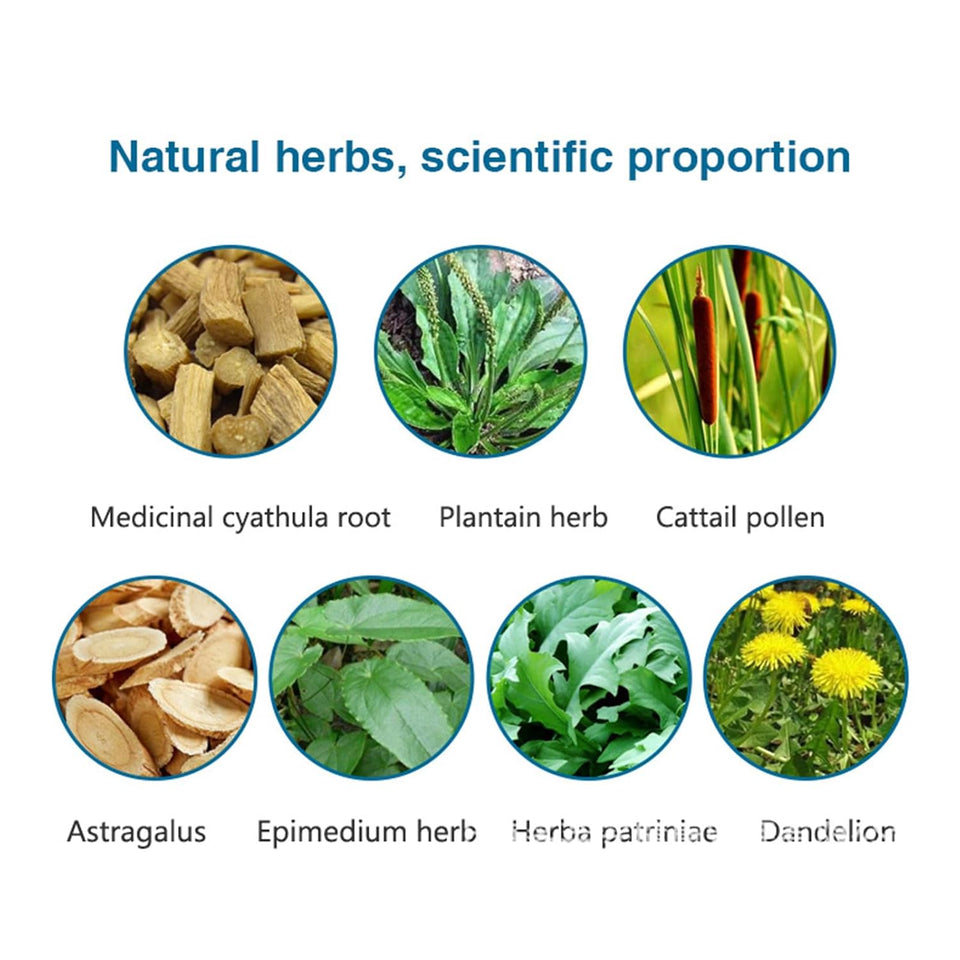 Thé traditionnel à base de plantes pour la santé de la prostate